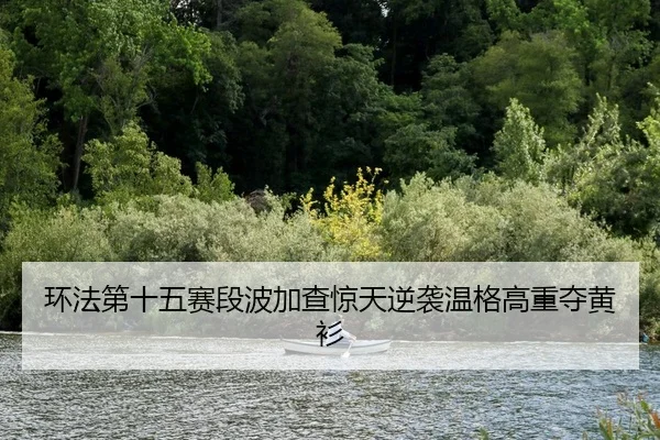 环法第十五赛段波加查惊天逆袭温格高重夺黄衫 | yaxin